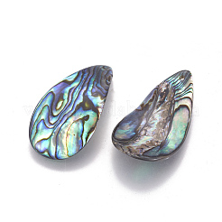 天然アワビシェル/パウアシェルペンダント  ドロップ  ツイスト  28.5~31x16~19.5x1.5~1.8mm  穴：1mm&nbsp;SSHEL-F303-04