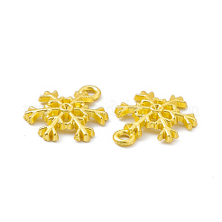 Rack Plating Alloy Pendants&nbsp;FIND-G045-11MG