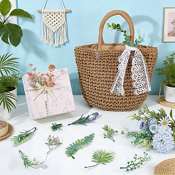 45個 15スタイル プラスチック模造植物  結婚式のパーティーホームルームの装飾アクセサリー  ミックスカラー  50~180x20~80x2~50mm  3個/スタイル&nbsp;AJEW-OC0016-39