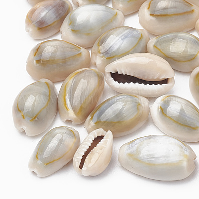 Cowrie Shell Beads&nbsp;SSHEL-T004-05-1