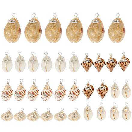 Shell Pendants&nbsp;PALLOY-PH01926-1