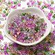 Baking Glass Seed Beads&nbsp;SEED-K009-07A-01-2