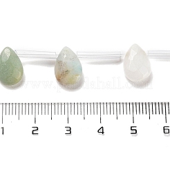 天然フラワーアマゾナイトビーズ連売り  多面カット  ティアドロップ  トップ掘削  12x8x3.5mm  穴：0.9mm  約22~25個/連  13.78''（35センチメートル）&nbsp;G-Q167-A10-01