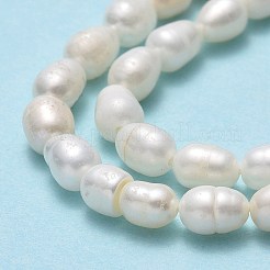 天然養殖淡水パールビーズ連売り  ライス  リネン  4.5~5.5x3.5~4.5mm  穴：0.6mm  約62~66個/連  13.39