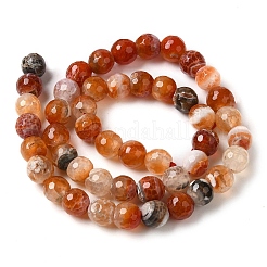 Dyed & Heated Natural Fire Crackle Agate Beads Strands&nbsp;G-P539-B01-19