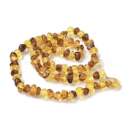 天然琥珀ビーズ連売り  ナゲット  タンブルストーン  6~8x5~7x3~5mm  穴：0.6mm  約86個/連  14.76インチ（37.5cm）&nbsp;G-L095-E01-03