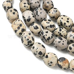 Natural Dalmatian Jasper Beads Strands&nbsp;G-C286-A09