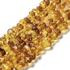 天然琥珀ビーズ連売り  ナゲット  タンブルストーン  6~8x6~10x4~7mm  穴：0.6mm  約79~81個/連  15.16~15.28インチ（38.5~38.8cm）&nbsp;G-L095-L01-01