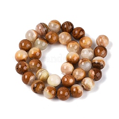 Natural Wood Lace Stone Wooden Jasper Beads Strands&nbsp;G-B128-A04-05