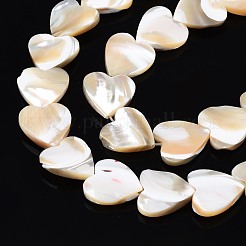 Natural Trochid Shell/Trochus Shell Bead Strands&nbsp;SSHEL-N034-92A-01
