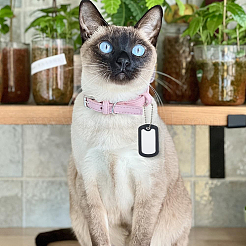DIY Pet Necklaces Making Kits&nbsp;DIY-SP0006-55A