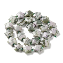 天然のピースジェイドビーズ連売り  シードビーズで  膨らんだ星  14~15.5x15~16x6.5~7mm  穴：1mm  約24~25個/連  15.55''~15.95''（39.5~40.5センチメートル）&nbsp;G-NH0005-001