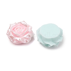Opaque Resin Beads&nbsp;RESI-D026-02