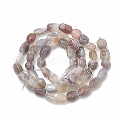 Natural Botswana Agate Beads Strands&nbsp;G-S331-6x8-010