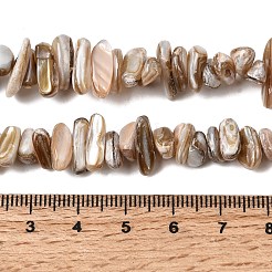 天然淡水シェルビーズ連売り  ナゲット  キャメル  2.5~5x9.5~15.5x4.5~6mm  穴：0.7mm  約97~100個/連  14.17~14.76''（36~37.5センチメートル）&nbsp;SHEL-A006-05