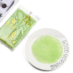Glow in the Dark Luminous Transparent 8/0 Glass Seed Beads&nbsp;SEED-YWC0001-01I