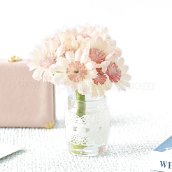 Miniature Chrysanthemum Potted&nbsp;PW-WGBF081-01
