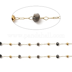 304 Stainless Steel Handmade Beaded Chains&nbsp;CHS-P017-A03-G