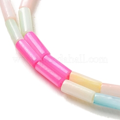 Rainbow Color Dyed Natural Freshwater Shell Beads Strands&nbsp;X1-SHEL-G018-02A