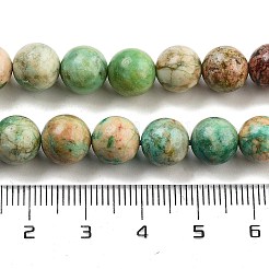 天然ペルーターコイズ（ジャスパー）ビーズ連売り  ラウンド  8mm  穴：1mm  約46個/連  15.47''（39.3センチメートル）&nbsp;G-Z062-A01-02