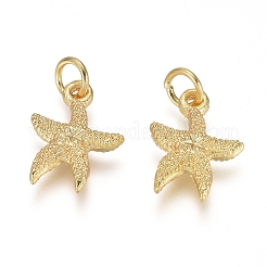 Electroplated Alloy Charms&nbsp;PALLOY-G267-06G