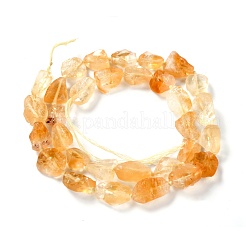 Rough Raw Heated Natural Citrine Beads Strands&nbsp;G-G010-13