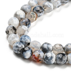 Dyed Natural Fire Crackle Agate Beads Strands&nbsp;G-G007-01F