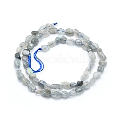 Natural Labradorite Beads Strands&nbsp;G-L550A-06
