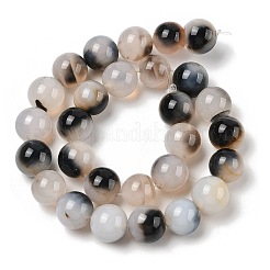 Natural Dendritic Agate Beads Strands&nbsp;G-A248-A07-06