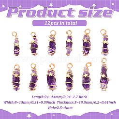 12 個の天然石銅線ラップペンダント  ナゲットチャーム  ゴールドカラー  24~44x8~15x5~15.5mm  穴：2.5~4mm&nbsp;PALLOY-FG0001-02B