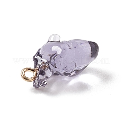 Transparent Resin Pendants&nbsp;RESI-E028-01G-08