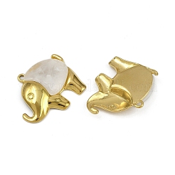 304 Stainless Steel Resin Pendants&nbsp;STAS-L302-05G