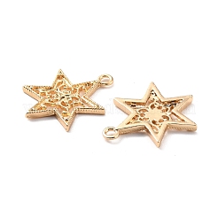 Zinc Alloy Pendants&nbsp;FIND-I017-01G