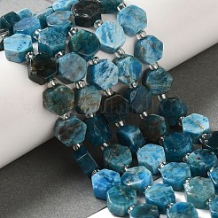 天然石アパタイトビーズ連売り  六角  シードビーズで  8.5~9x8.5~10x4~5mm  穴：1mm  約17~18個/連  7.48''（19センチメートル）&nbsp;G-P534-A02-01