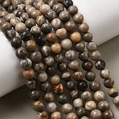 Natural Fossil Coral Beads Strands&nbsp;G-G212-6mm-31