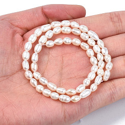 天然養殖淡水パールビーズ連売り  ライス  貝殻色  5.5~9x4~5.5mm  穴：0.6mm  約56~57個/連  13.94インチ〜14.17インチ（35.4cm〜36cm）&nbsp;PEAR-N012-04B
