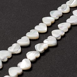 Natural Trochid Shell/Trochus Shell Beads&nbsp;SSHEL-O001-27B