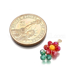 5 個の UV メッキアクリルパーツ  花  スプレー塗装された透明ガラス  ゴールドカラー  20.5~21x10.5~11x4mm  穴：2mm&nbsp;PALLOY-TA00271