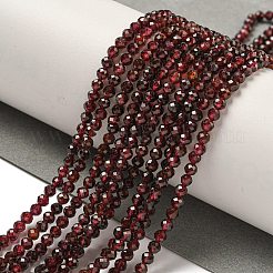 Natural Garnet Beads Strands&nbsp;G-I341-09C