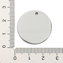 304 Stainless Steel Penndants&nbsp;FIND-A034-01A