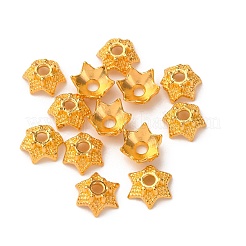 Tibetan Style Bead Caps&nbsp;AA188-G-NR