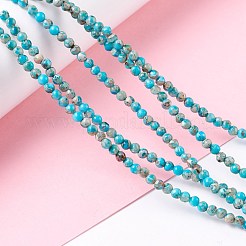 天然レガライト/インペリアルジャスパー/海底堆積物ジャスパービーズ連売り  染色された印象ジャスパー  ラウンド  空色  3mm  穴：0.8mm  約140個/連  15.94''（40.5センチメートル）&nbsp;G-K317-A17-01