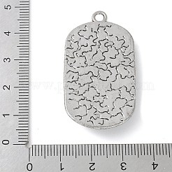 合金ペンダント  楕円形に鷲と目  ガラスと  カドミウムフリー＆鉛フリー  プラチナ  44.5x24x5.5mm  穴：2.5mm&nbsp;PALLOY-D290-11P