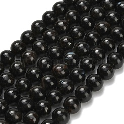 Natural Glaucophane Beads Strands&nbsp;G-L642-B03-6mm