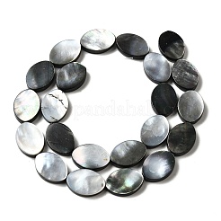 Natural Black Lip Shell Beads Strands&nbsp;BSHE-D300-02-13x18mm