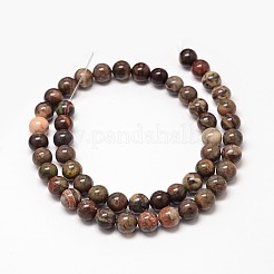 Natural Rainforest Agate Round Bead Strands&nbsp;G-P075-45-6mm