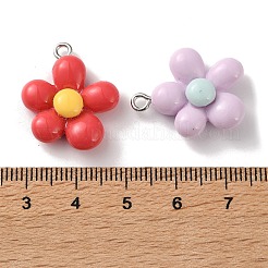 Opaque Resin Pendants&nbsp;CRES-B036-02