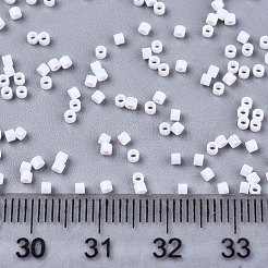 FGB 11/0 Grade A Glass Seed Beads&nbsp;SEED-S030-0401F