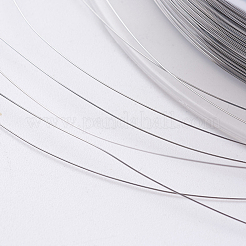 Steel Wire&nbsp;TWIR-E001-0.1mm