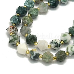 Natural Tree Agate Beads Strands&nbsp;G-I376-A36-01